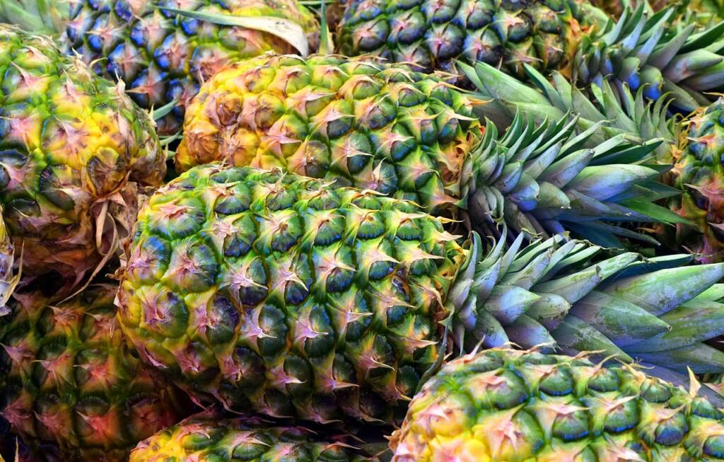 Photo of pineapples. Photo by matthiasboeckel.
Manning Resource. Recall Prevention Strategies
